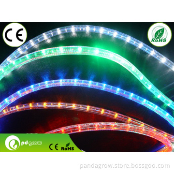 2wire Color Changing LED Rope Light